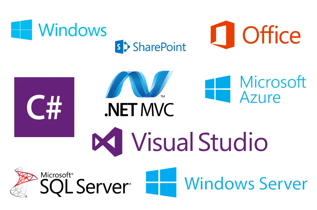 Microsoft Partners