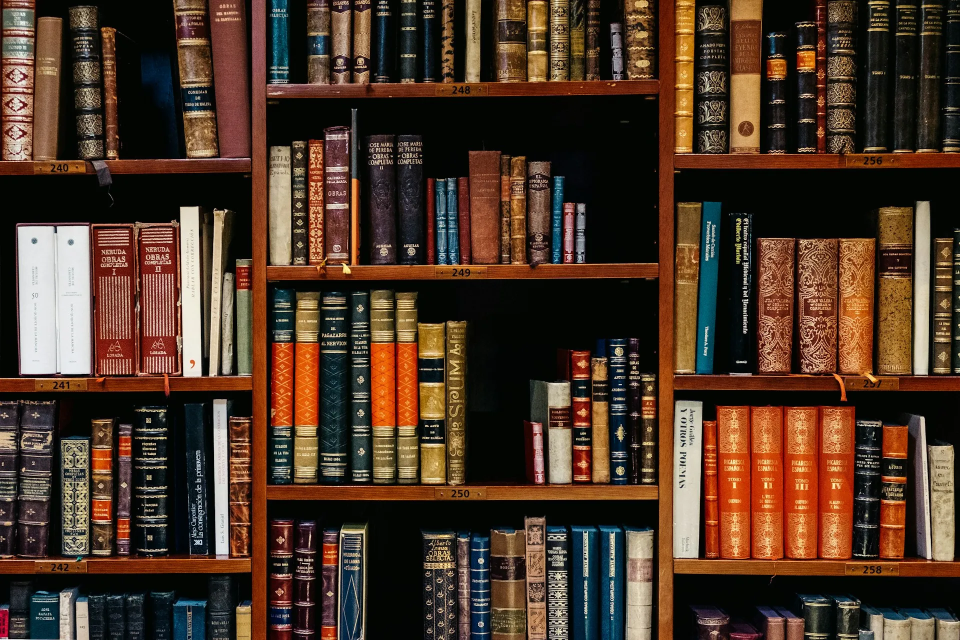 Vintage bookshelf filled with diverse collection of antique leather-bound books