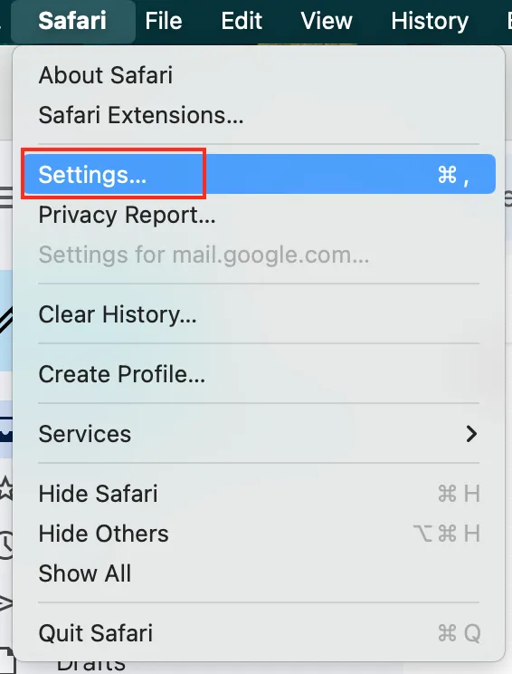 Mac Safari Settings