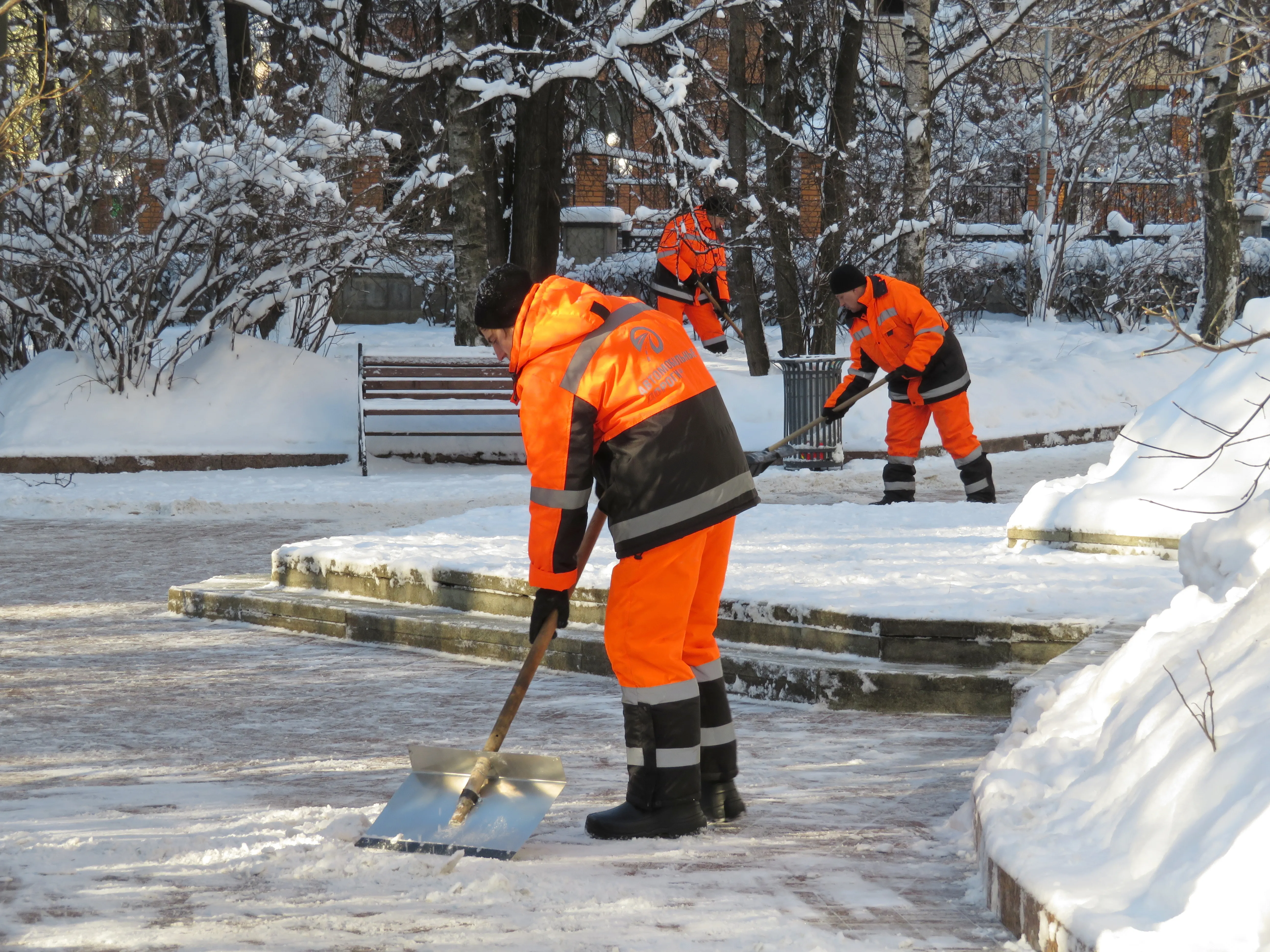 Snow Removal Service