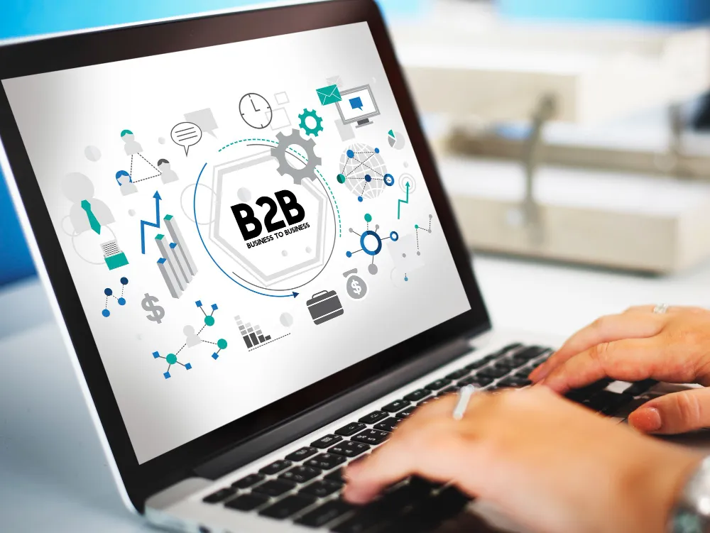 B2B SaaS Business